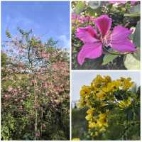 2025廈門徒步之山海步道全程