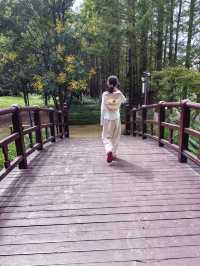 阜陽必去打卡點，夜景也超絕，阜陽人自己的花園