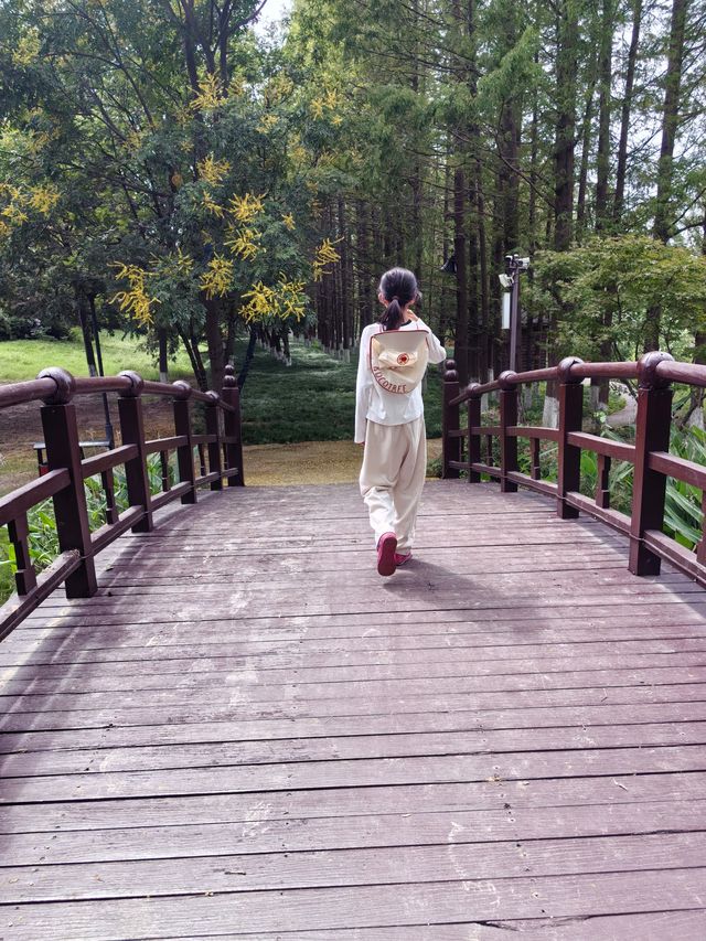 阜陽必去打卡點，夜景也超絕，阜陽人自己的花園