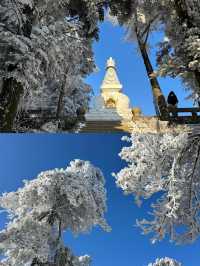 抓緊碼住這份廬山賞雪攻略看霧淞雲海的絕佳時機來了