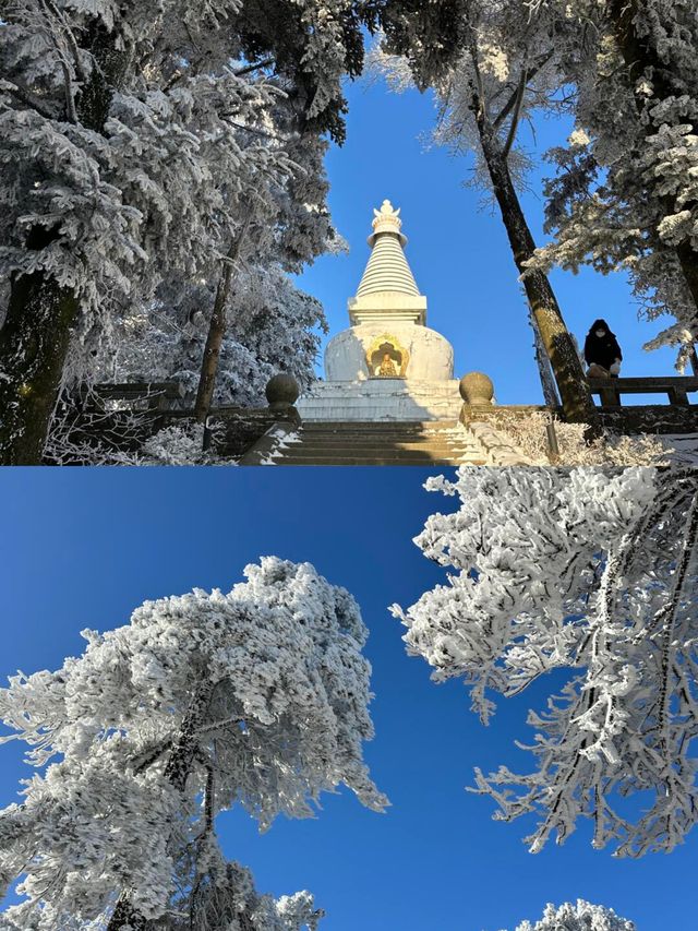 抓緊碼住這份廬山賞雪攻略看霧淞雲海的絕佳時機來了 抓緊碼住這份廬山賞雪攻略看霧淞雲海的絕佳時機來了
