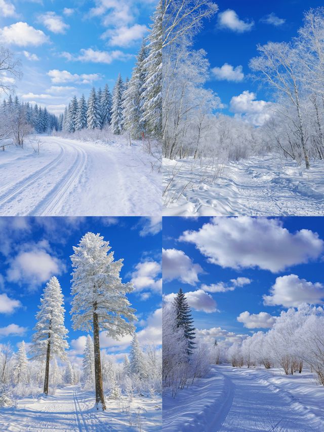 “長白山已回，12月真的不建議去，因為實在是…太美了！”