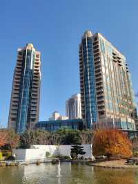 掩映在梧桐樹中奢華酒店衡山花園酒店行政樓