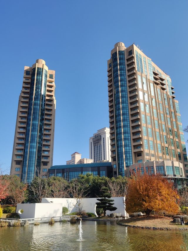 掩映在梧桐樹中奢華酒店衡山花園酒店行政樓