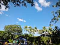 中國科學院西雙版納熱帶植物園真的太寶藏了，必須安利給大家