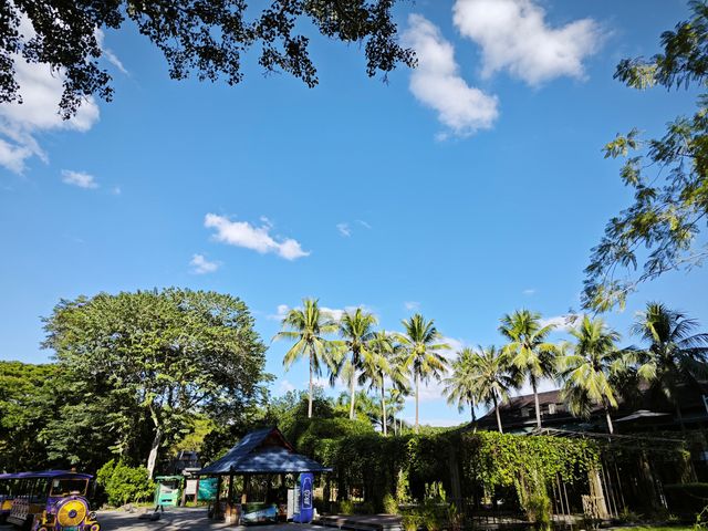 中國科學院西雙版納熱帶植物園真的太寶藏了，必須安利給大家