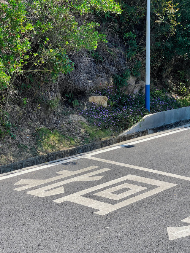 20元打卡太陽轉身的地方-北回歸線值了