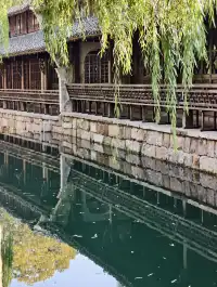 看我用手機記錄鹽官最濃的秋色附機位版