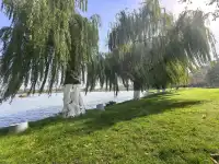 #南京5天#休閒之旅 上篇