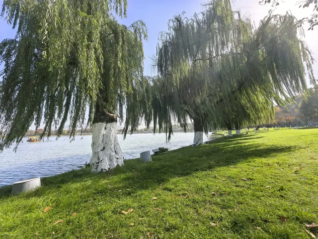 #南京5天#休閒之旅 上篇 #南京5天#休閒之旅 上篇