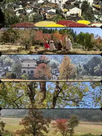 贛皖浙｜賞秋深度遊