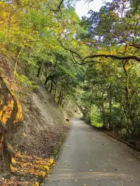 住深圳去香港爬【柏架山+怪獸大廈】|一周一山
