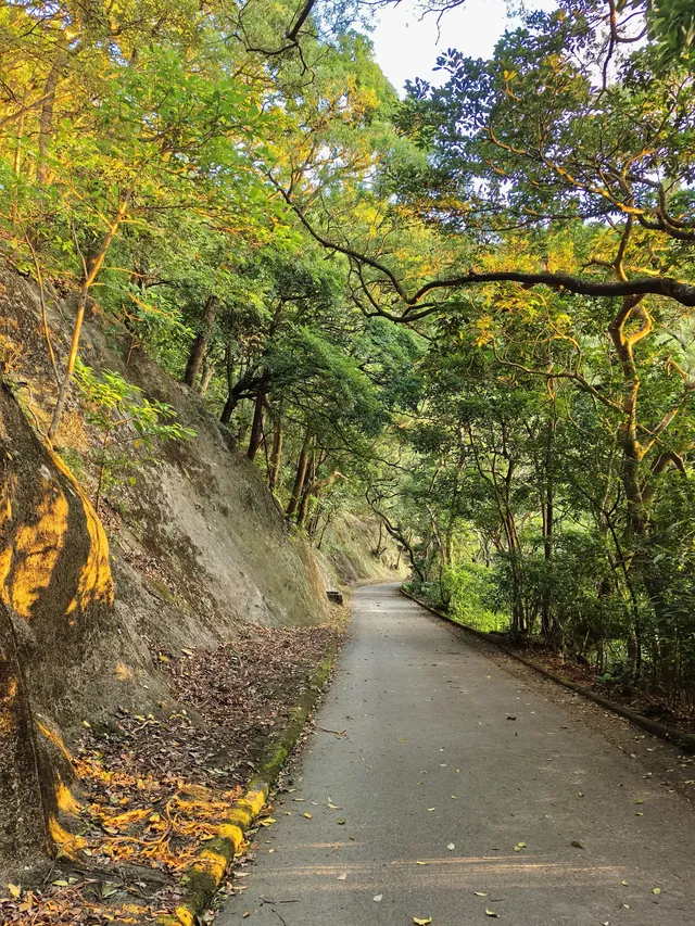 住深圳去香港爬【柏架山+怪獸大廈】|一周一山 住深圳去香港爬【柏架山+怪獸大廈】|一周一山