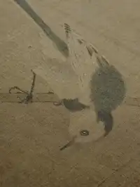 當我以站姐的方式，在上海博物館拍文物