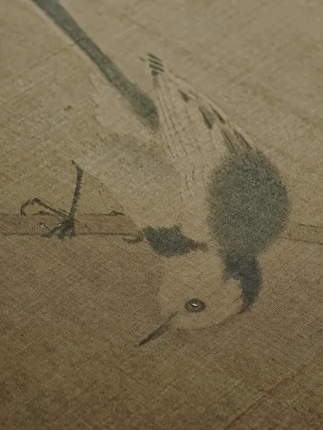 當我以站姐的方式，在上海博物館拍文物