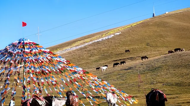 重複一萬次都不會膩的青甘大環線集錦攻略 重複一萬次都不會膩的青甘大環線集錦攻略