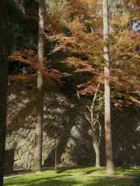 算了，和你們沒來過雄莊的人說不清楚