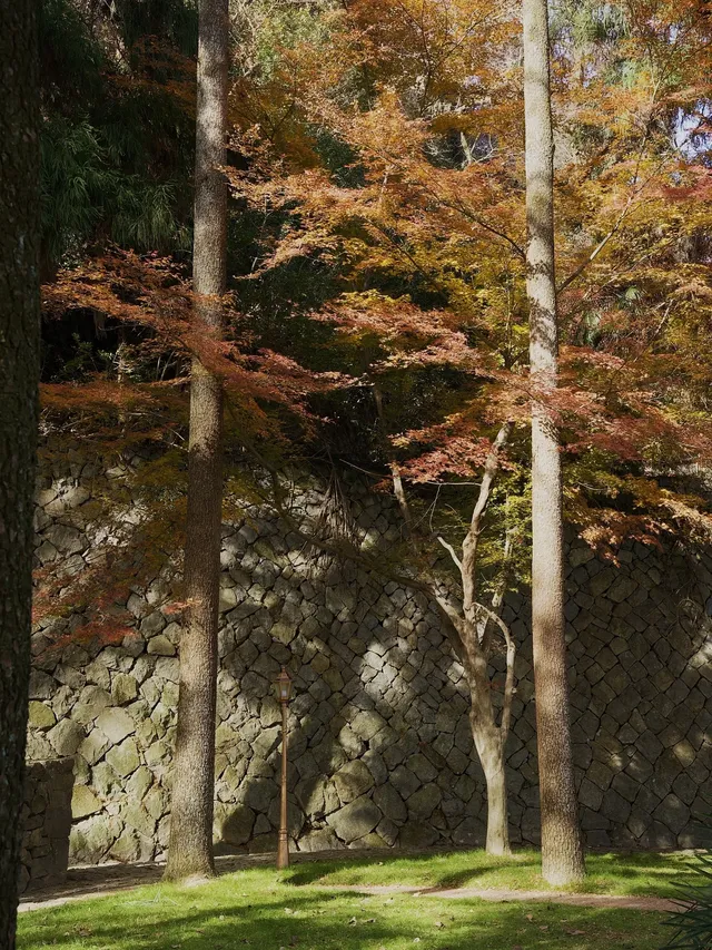 算了，和你們沒來過雄莊的人說不清楚