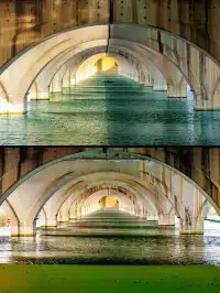 接下來的武漢，一定別錯過處絕美紅杉林