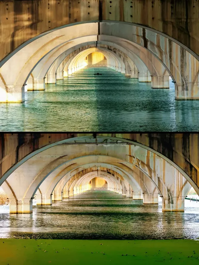 接下來的武漢，一定別錯過處絕美紅杉林