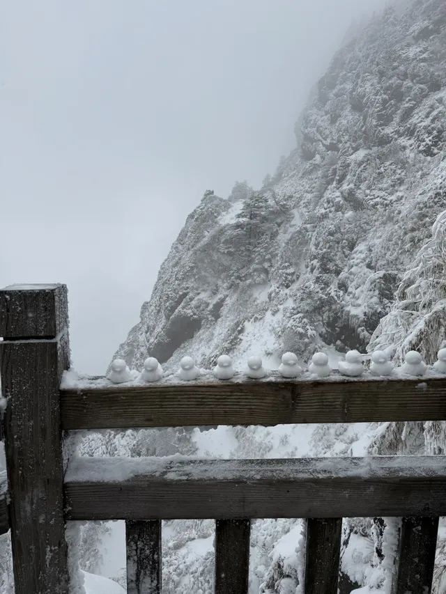 神農架冬日童話|闖入南國最純淨的雪國 神農架冬日童話|闖入南國最純淨的雪國