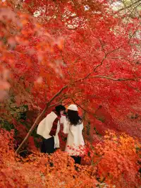 12.5實況|中山植物園這幾個機位包出片的!