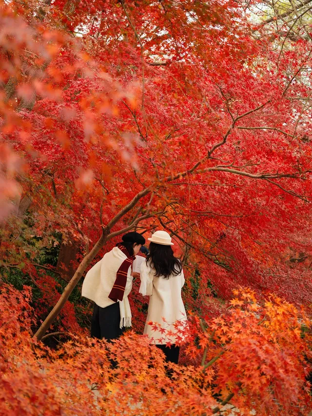 12.5實況|中山植物園這幾個機位包出片的! 12.5實況|中山植物園這幾個機位包出片的!