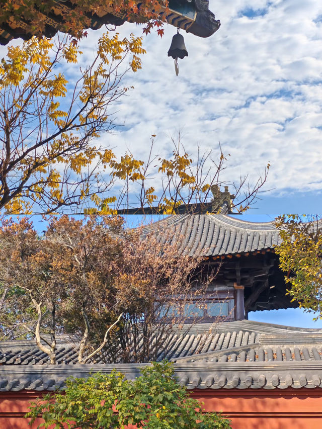 深秋的廣富林|把江南詩意焊在骨子裡的絕美打卡地 深秋的廣富林|把江南詩意焊在骨子裡的絕美打卡地