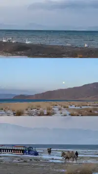 誰懂啊!北疆之旅被國旅司機師傅寵上天