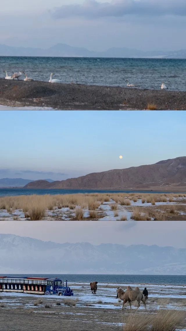 誰懂啊!北疆之旅被國旅司機師傅寵上天 誰懂啊!北疆之旅被國旅司機師傅寵上天