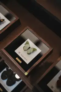 廣州阿那亞的日與夜,出乎意料的好逛