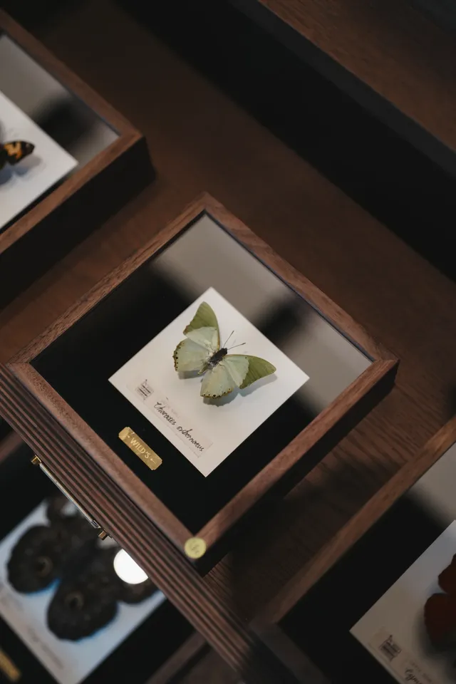 廣州阿那亞的日與夜,出乎意料的好逛 廣州阿那亞的日與夜,出乎意料的好逛