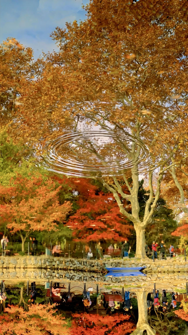 我說魯迅公園是上海市中心的賞秋天花板沒人有意見吧