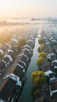 楓涇古鎮|滬浙交界1500年的酒香秘境,沉浸式打卡江南活態博