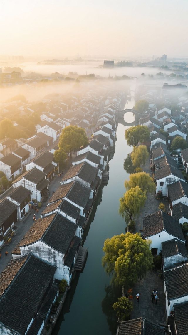 楓涇古鎮|滬浙交界1500年的酒香秘境,沉浸式打卡江南活態博 楓涇古鎮|滬浙交界1500年的酒香秘境,沉浸式打卡江南活態博