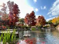 魔都小眾治癒地輔德里公園|市中心藏的森林綠洲