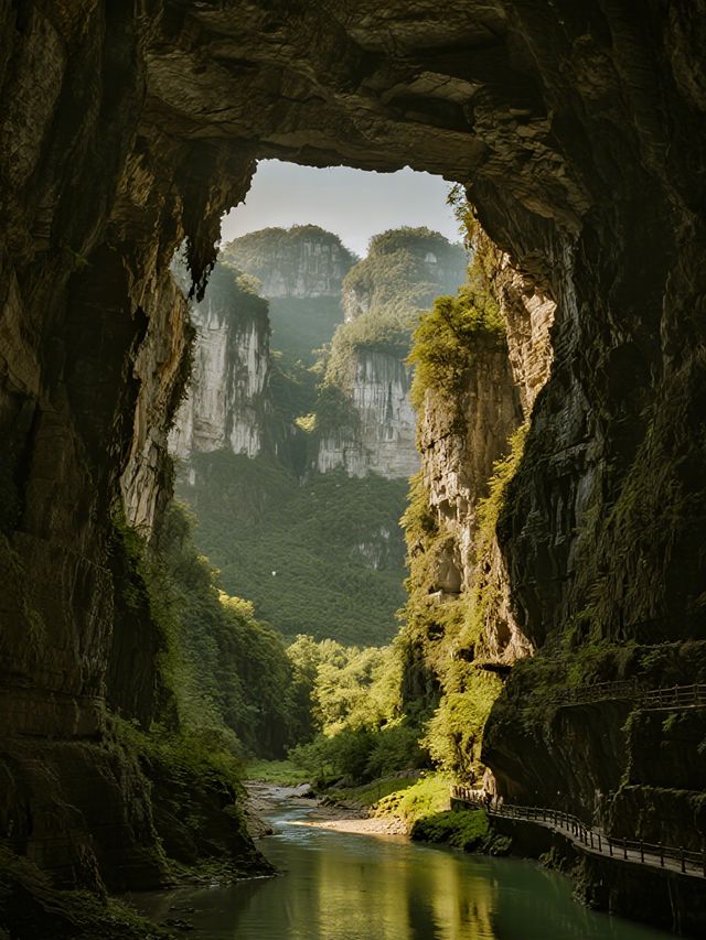 闖進北緯23°的綠野仙蹤!這個冬季平均18℃的寶藏地 闖進北緯23°的綠野仙蹤!這個冬季平均18℃的寶藏地