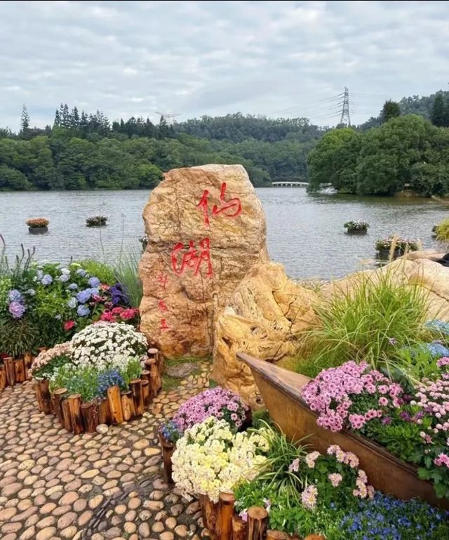 深圳仙湖植物園|遛娃寶藏地打卡賞花絕佳去處 深圳仙湖植物園|遛娃寶藏地打卡賞花絕佳去處