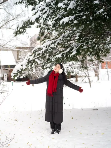 北海道雪又開始下了。