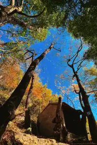 台州賞秋封神4條徒步路線建議收藏~