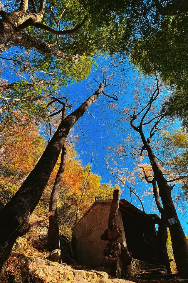 台州賞秋封神4條徒步路線建議收藏~ 台州賞秋封神4條徒步路線建議收藏~