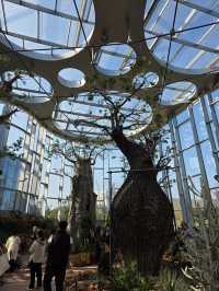 Shanghai Greenhouse Garden – всё, что нужно знать