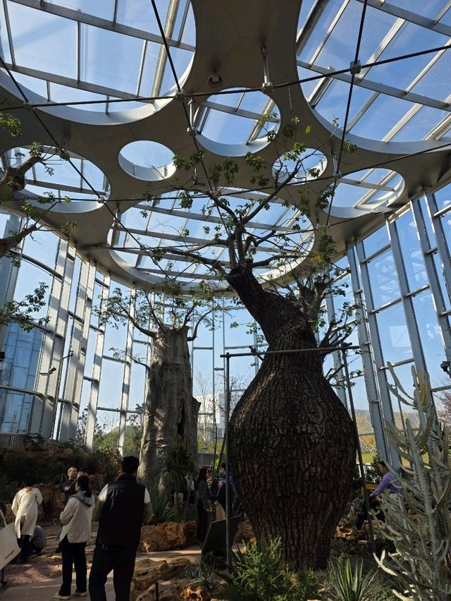 Shanghai Greenhouse Garden – всё, что нужно знать Shanghai Greenhouse Garden – всё, что нужно знать