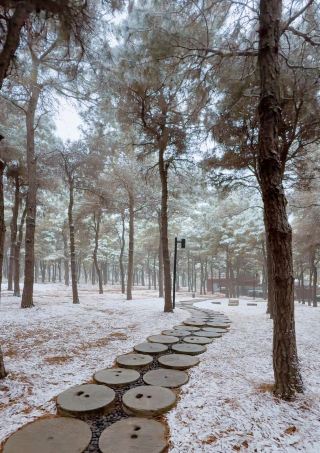 동해 숲 온천, 첫눈이 장식하는 겨울의 비밀 정원