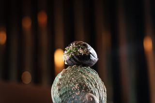 The complete secrets of the six-act art menu