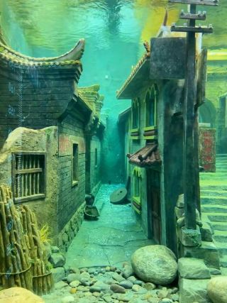 驚きました、水中に本当に博物館があり、実際に体験しました