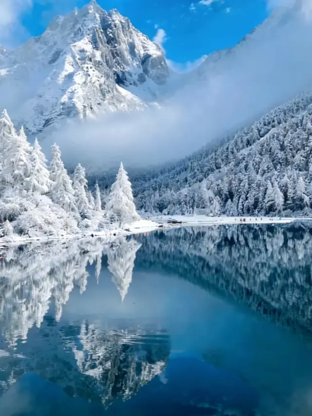 Chengdu Departure 198 RMB Bipenggou + Dagu Glacier 2-Day Tour|Relax and Enjoy the Snow Fairy Tale