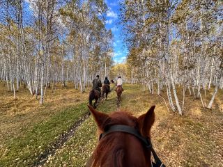 Learning to ride horses in Enhe, on the Sino-Russian border.