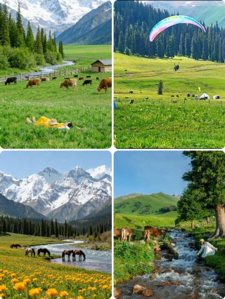 How to Explore Ili in Summer: Four Classic Routes Explained at Once