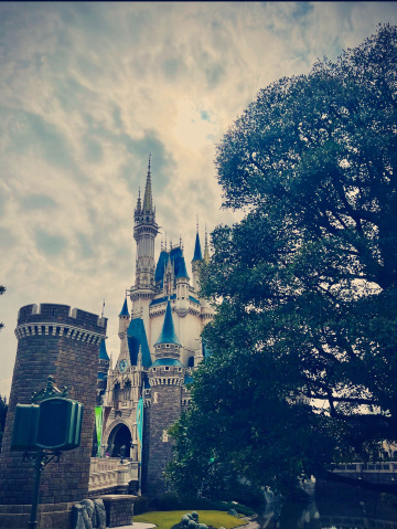 東京ディズニーランド｜必乗リスト：おとぎ話とアドレナリンの究極の